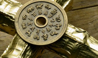 属狗的穿什么颜色衣服财旺 属狗的人幸运色是什么