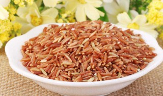 红米是热性还是凉性 红米属于热性还是凉性的呢