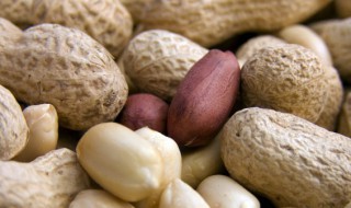 花生配什么炖汤好 花生与什么炖汤最好