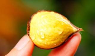 炒熟的板栗能隔夜吃吗 炒板栗隔夜了还能吃吗