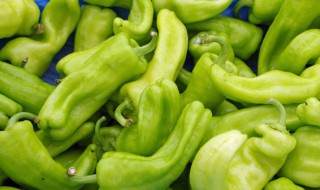 辣椒怎么保存新鲜度最高 辣椒怎么保存时间长新鲜