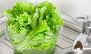 生菜是热性还是凉性 生菜属于热性还是凉性的呢