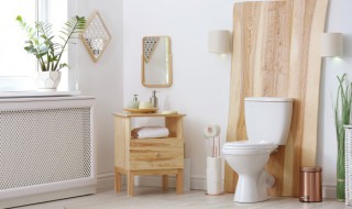 卫生间放什么小物件招财 适合卫生间摆放的招财小物件