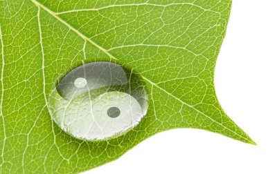 阴阳是指什么意思网络用语 阴阳变化的7个基本规律