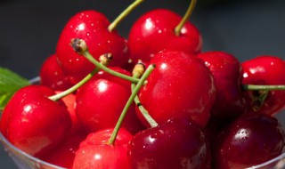 孕妇可以吃樱桃吗早期 孕早期孕妇能不能吃樱桃