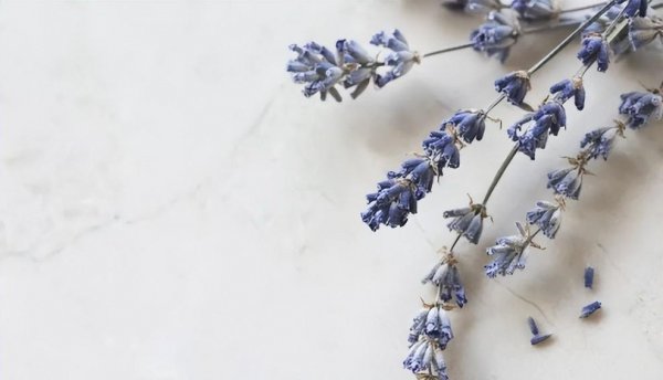 老公婚内出轨怎么处理最好