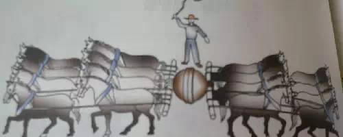 马德堡半球实验谁做的