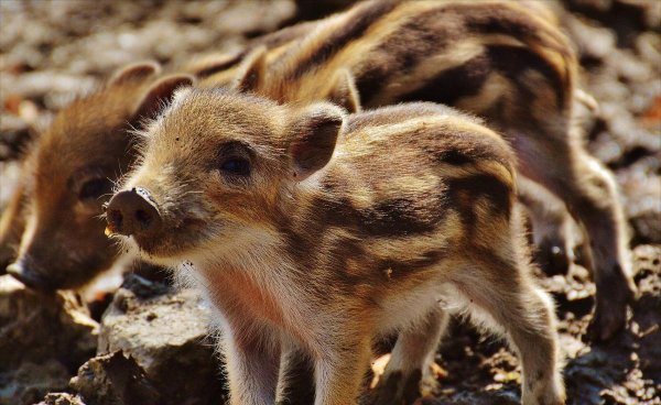 户外活动安全注意事项
