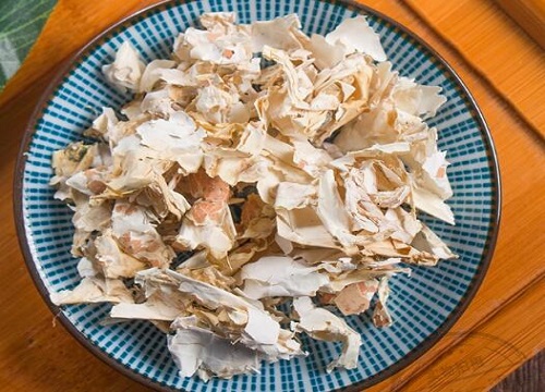 多肉植物用什么养叶子越长越胖