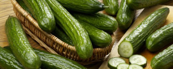 黄瓜放冰箱储存方法冬季