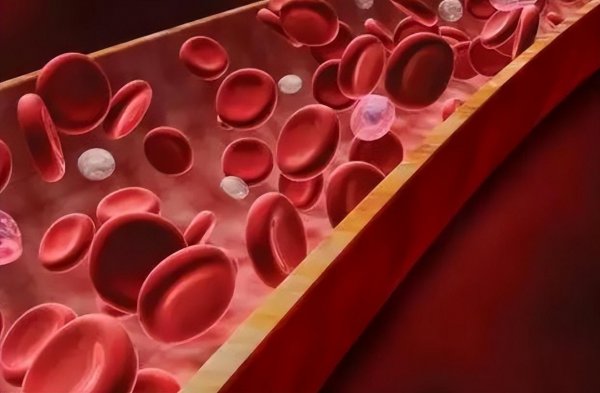 女性每天踮脚尖100次的好处