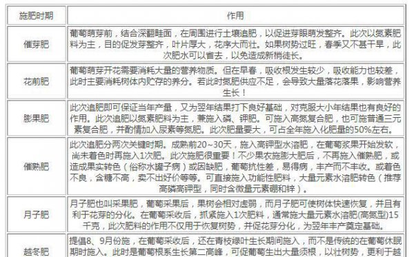 第一年葡萄小苗施什么肥