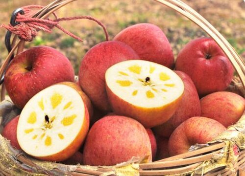 丰胸的水果有哪些