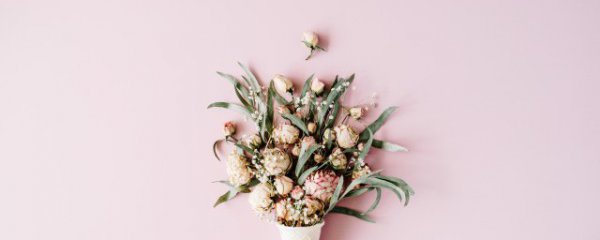 什么花适合送新妈妈呢