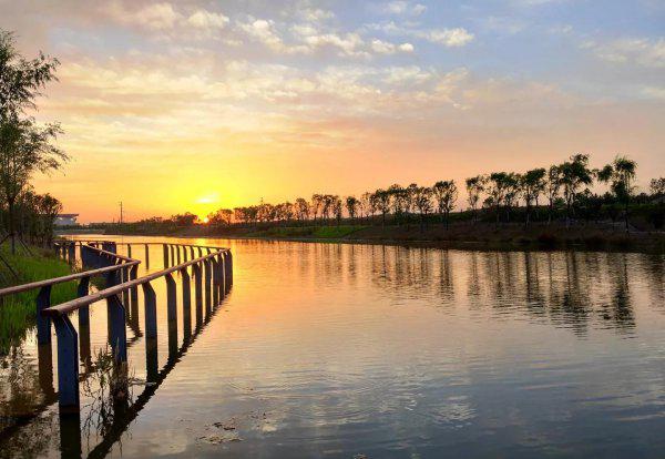 早上钓鱼的最佳时间是几点