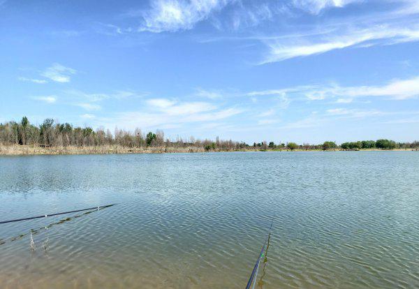 早上钓鱼的最佳时间是几点