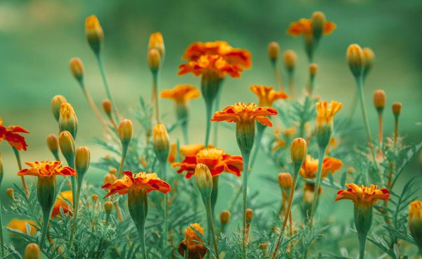 现在的人为什么越来越冷漠了