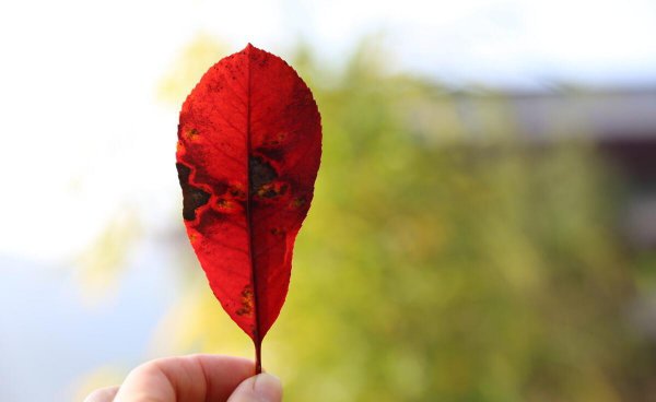 现在的人为什么越来越冷漠了