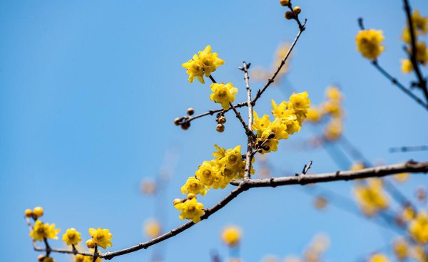 现在的人为什么越来越冷漠了