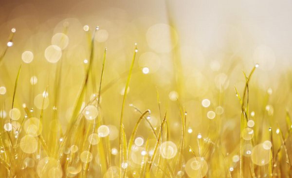 现在的人为什么越来越冷漠了