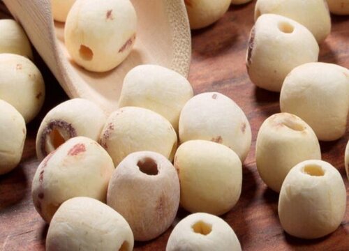 莲子从哪里长出来的