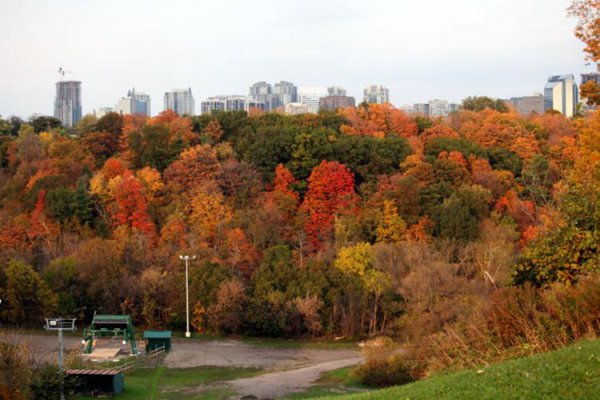 多伦多属于哪个国家城