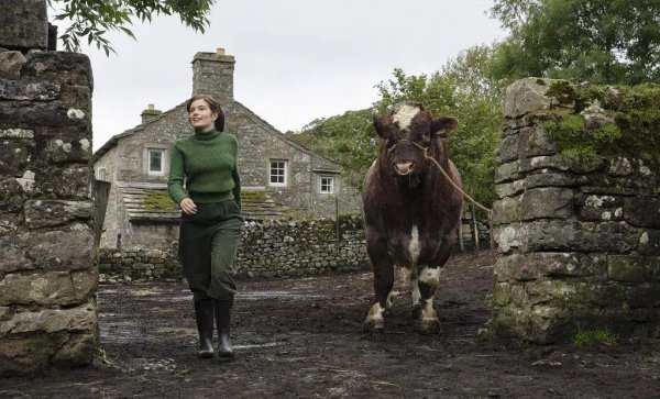 多伦多属于哪个国家城