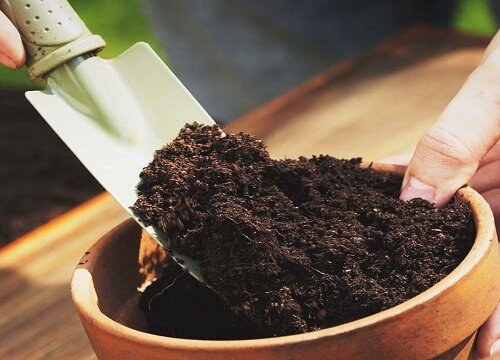 土壤对植物的作用影响