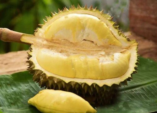 榴莲可以冷冻保存吗