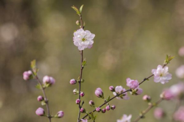 生性懒惰却有富贵命的星座女