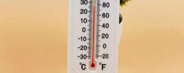 室内温度计怎么用