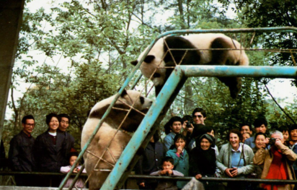 宜宾是哪个省的城市