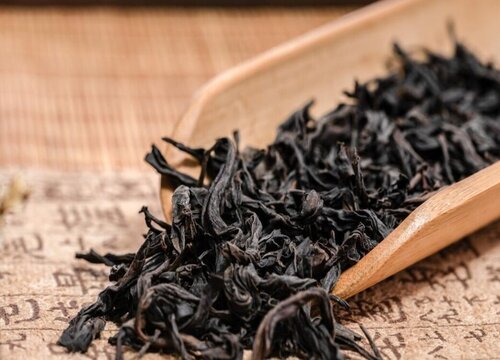 肉桂茶属于什么茶