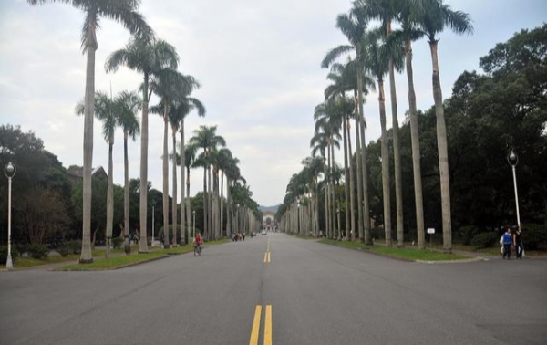 台湾大学占地面积多少平方米