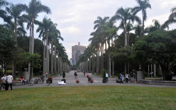 台湾大学占地面积多少平方米