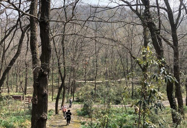 立春吃什么传统食品