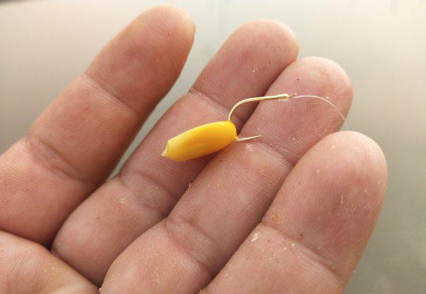 玉米粒可以钓什么鱼