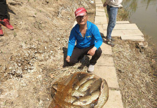 玉米粒可以钓什么鱼