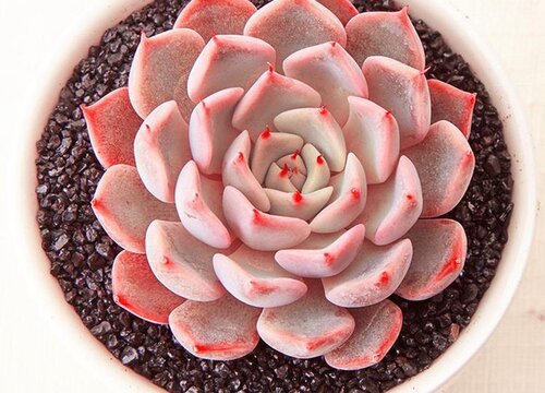 浸盆法一次浸多久拿出