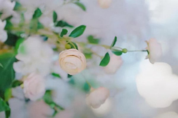 金牛座的爱情观是什么