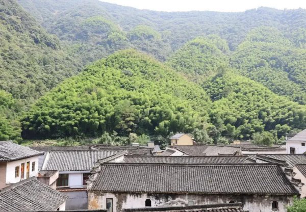 桐庐在哪个省哪个市