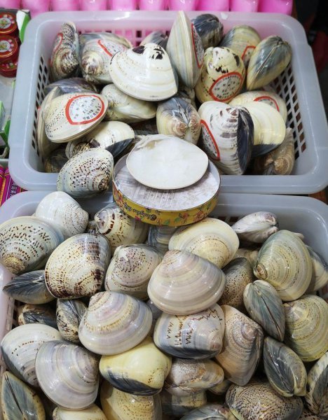 国内口碑最好的护肤品老字号