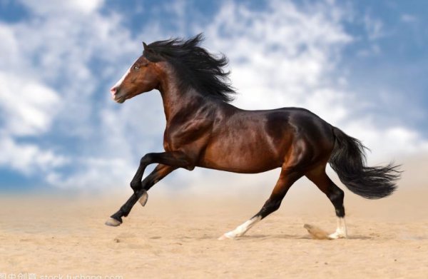 实力是什么意思