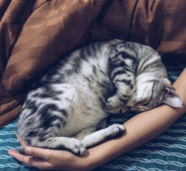 咖啡饭前喝还是饭后喝好