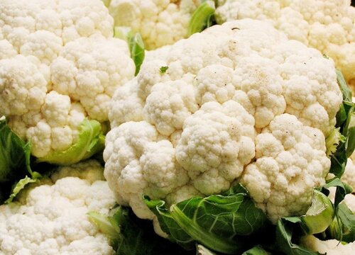 菜花什么时候成熟