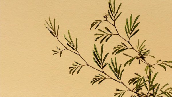 如何化解小人最灵最有效