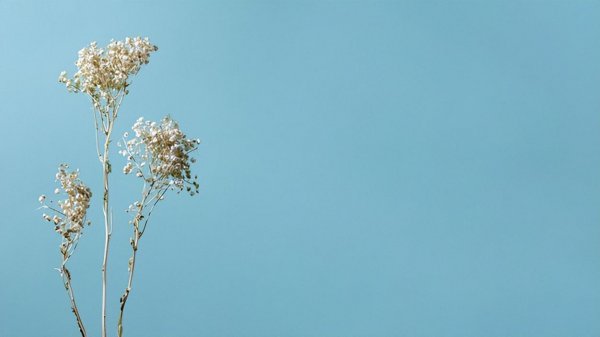 如何化解小人最灵最有效