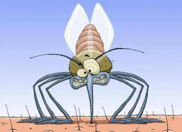 o型血的七大缺点盘点