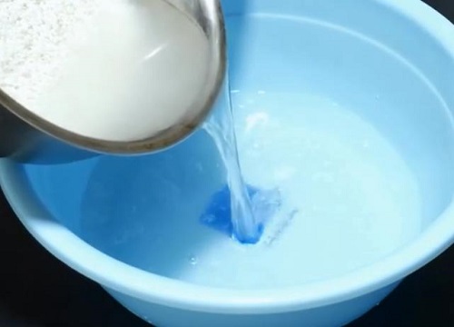 如何用淘米水浇灌茶花半年花苞挂满枝头