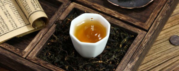 不同季节喝什么茶